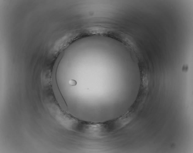 X0000110690411200906261349