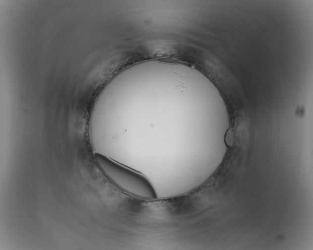 X0000110690417200906261349