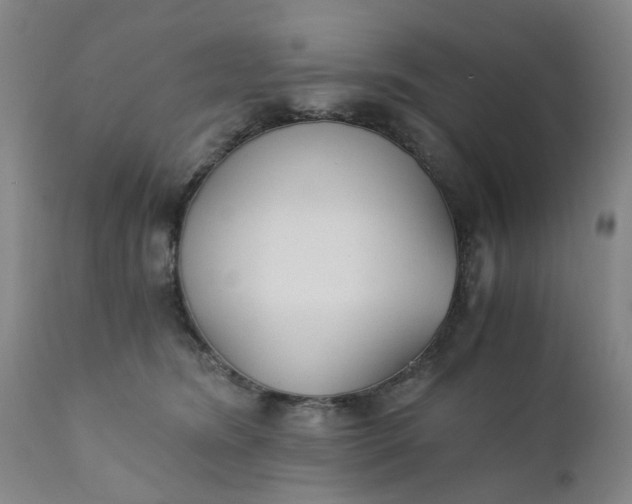 X0000110690420200906261349