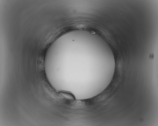 X0000110690421200906261349