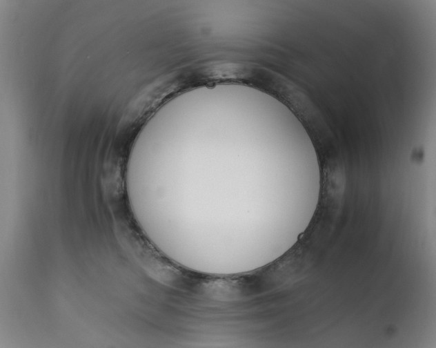 X0000110690422200906261349