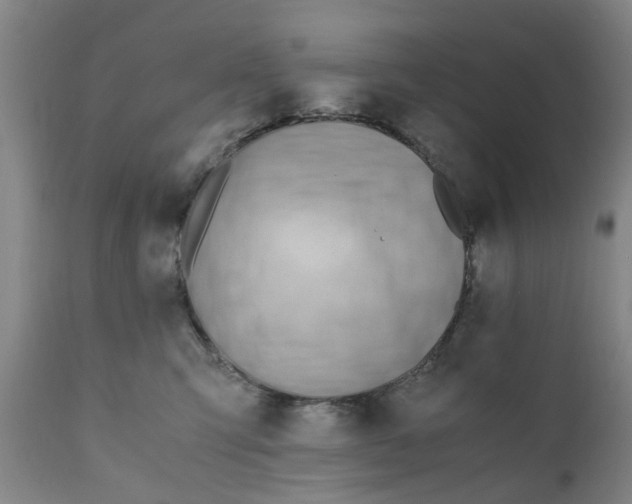 X0000110690423200906261349