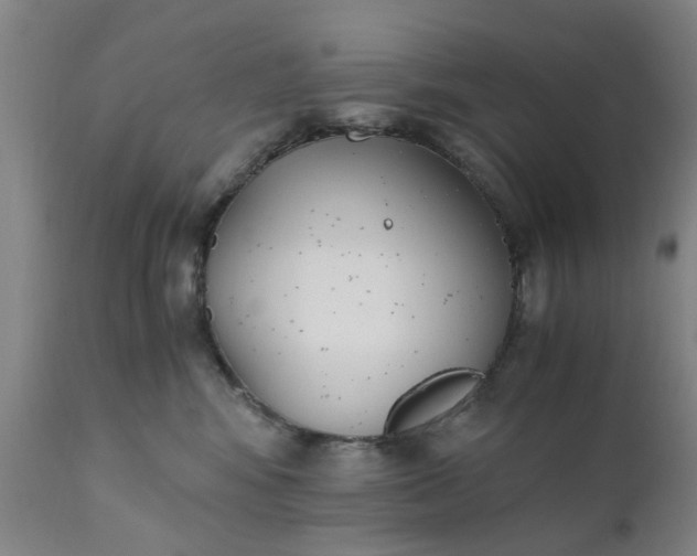 X0000110690424200906261349