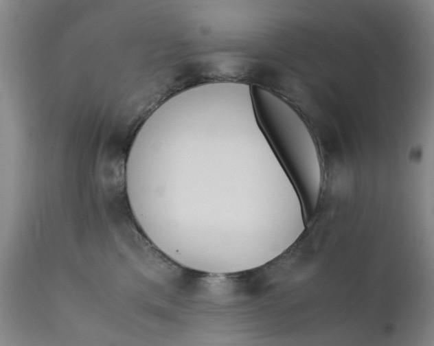 X0000110690425200906261349