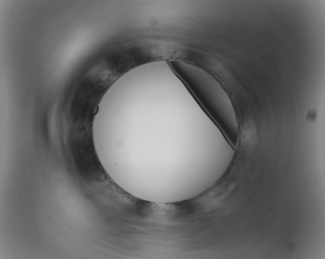 X0000110690429200906261348