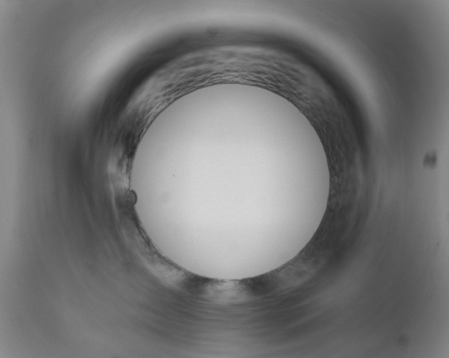 X0000110690431200906261348