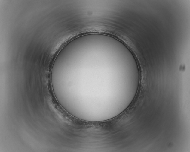 X0000110690434200906261347