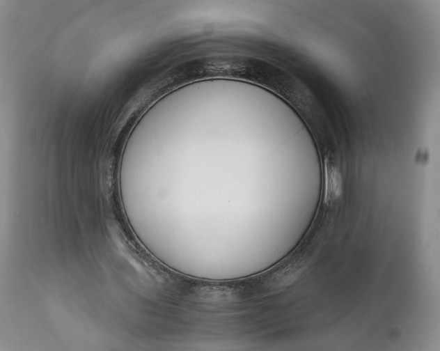 X0000110690435200906261348