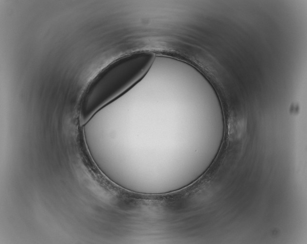 X0000110690436200906261348