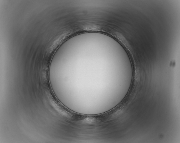 X0000110690441200906261348