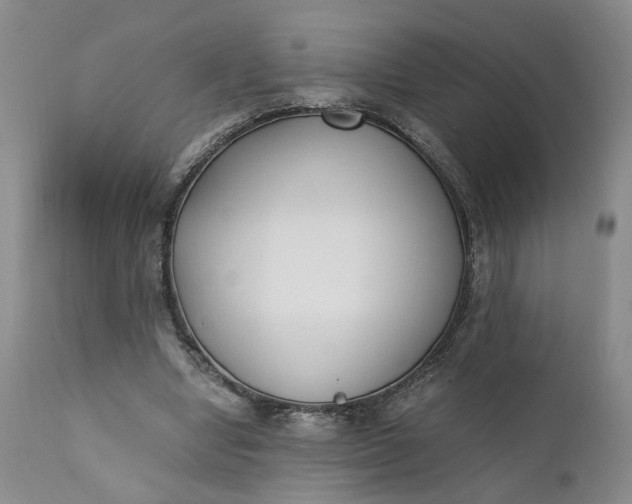 X0000110690442200906261348