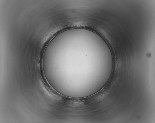 X0000110690443200906261348