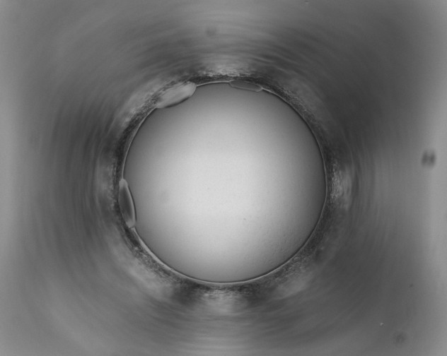 X0000110690444200906261348