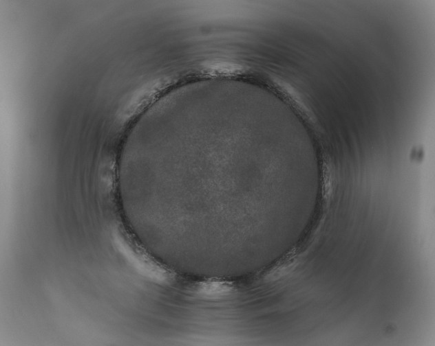 X0000110690451200906261348