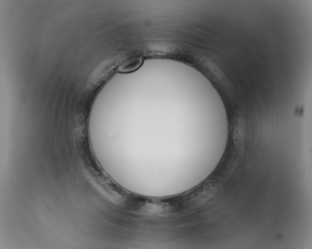 X0000110690455200906261348