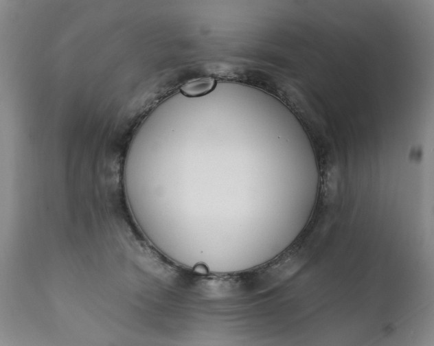 X0000110690466200906261348