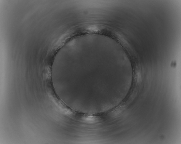 X0000110690467200906261348