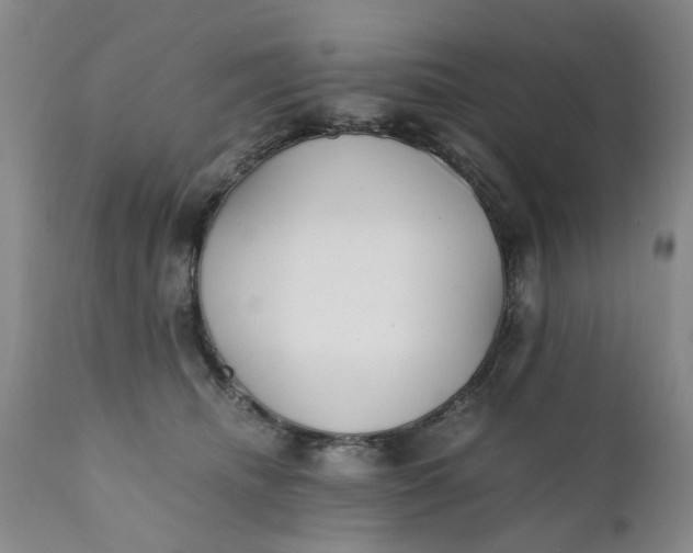 X0000110690468200906261348