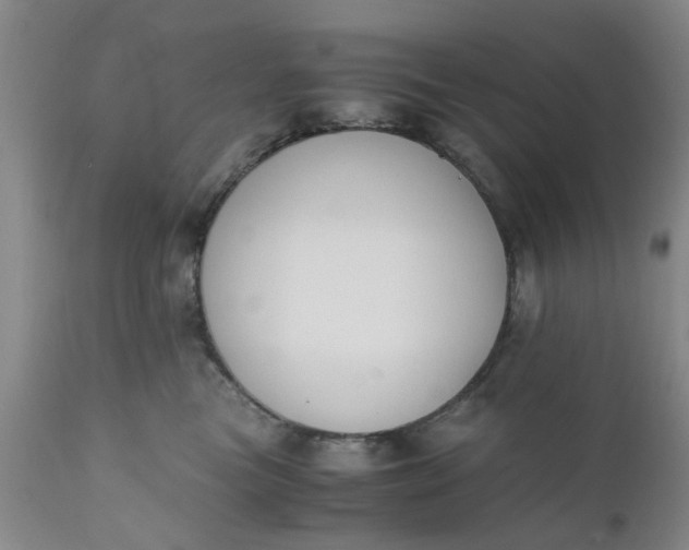 X0000110690473200906261348