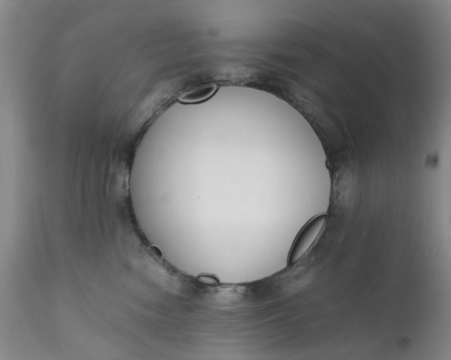 X0000110690474200906261348