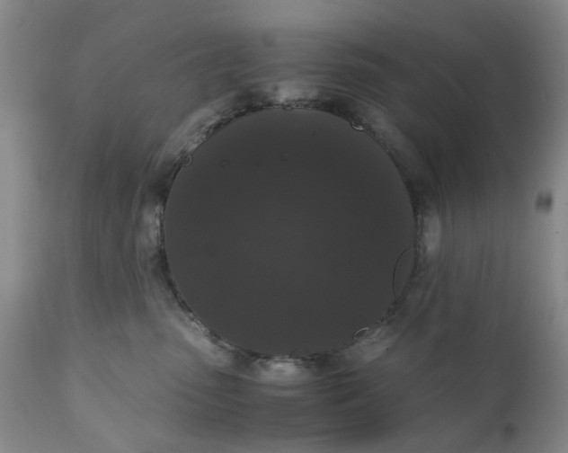 X0000110690475200906261348