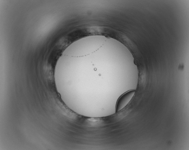 X0000110690477200906261348