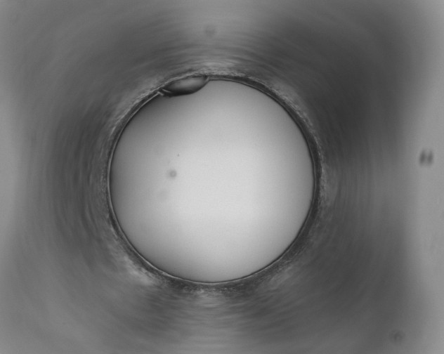 X0000110690481200906261347