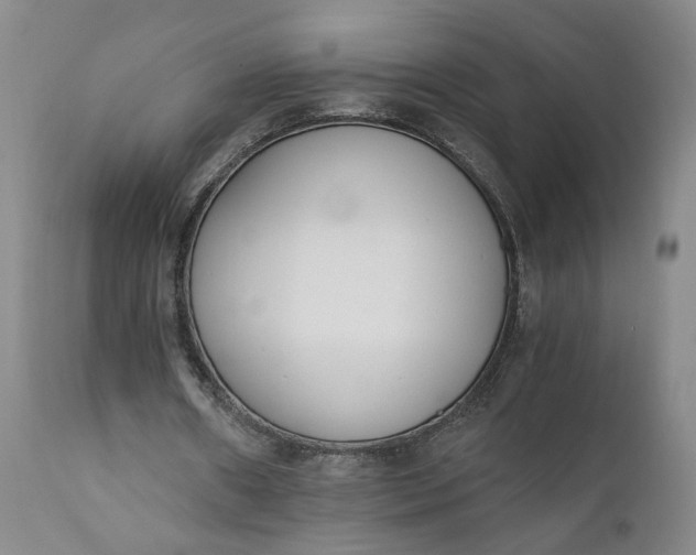 X0000110690482200906261347