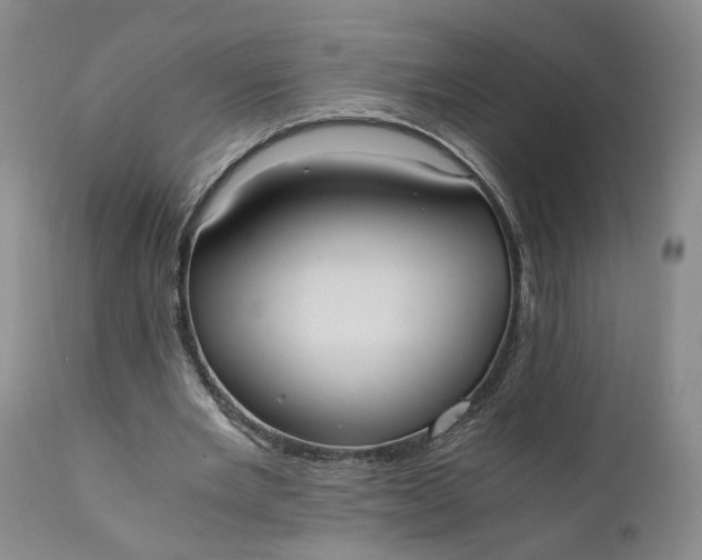 X0000110690485200906261347