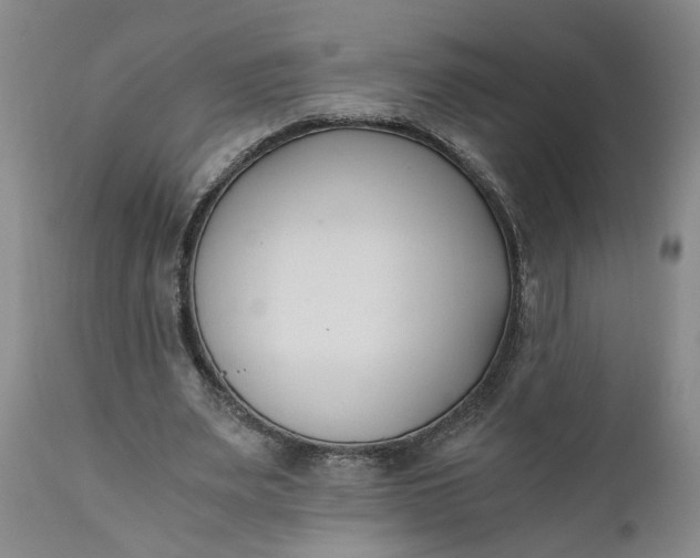 X0000110690487200906261347