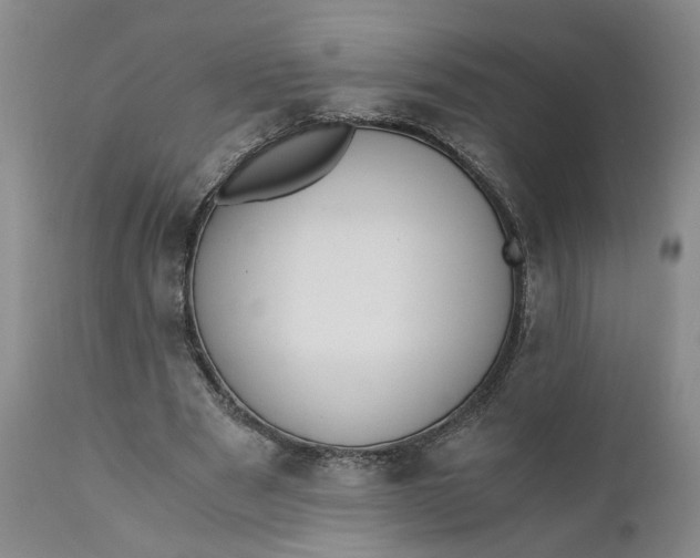 X0000110690489200906261347