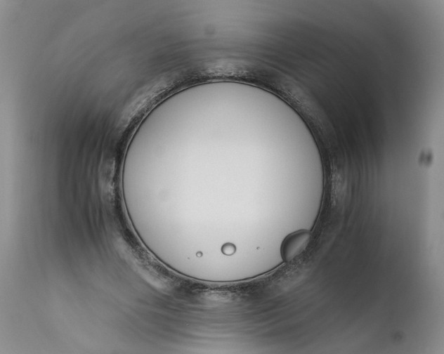 X0000110690490200906261347