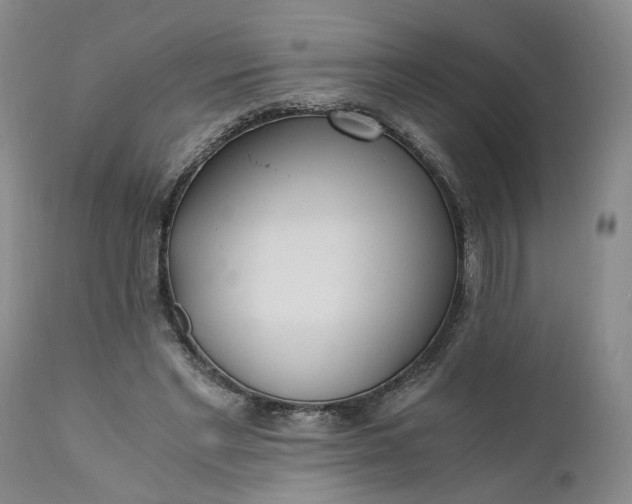 X0000110690493200906261347