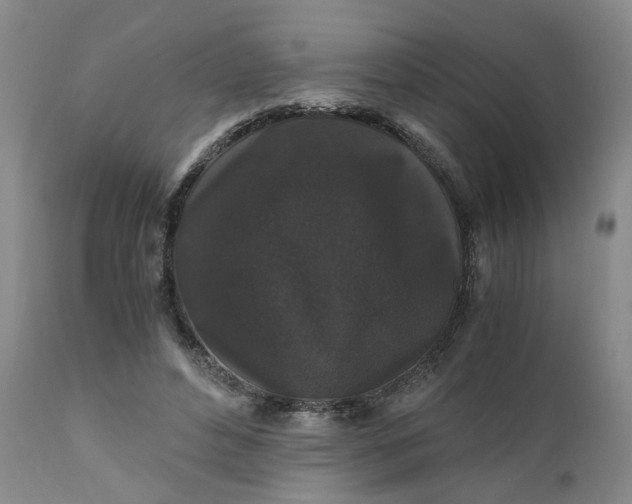 X0000110690496200906261347