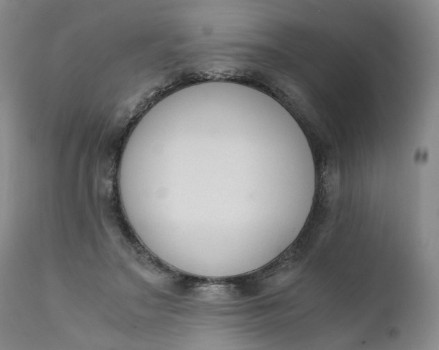 X0000110690499200906261347