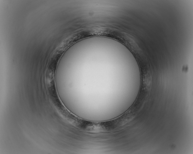 X0000110690503200906261347