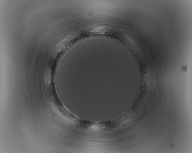 X0000110690504200906261347