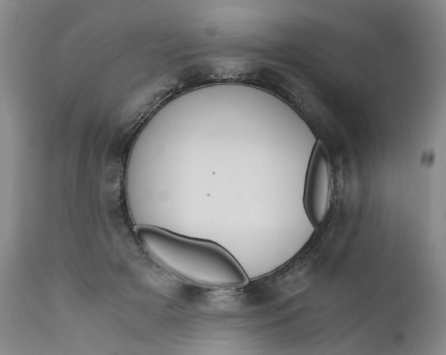 X0000110690505200906261347