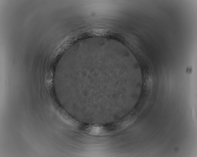 X0000110690507200906261347