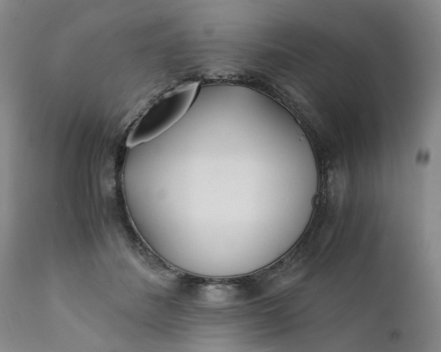 X0000110690508200906261347