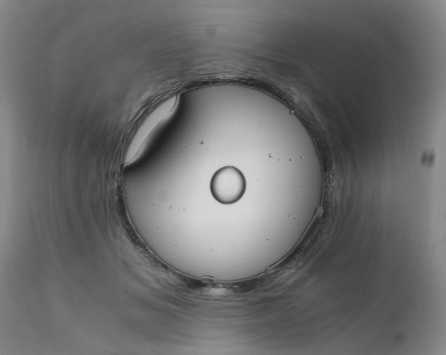 X0000110690509200906261347