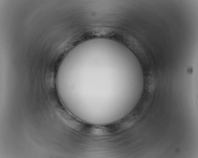 X0000110690510200906261347