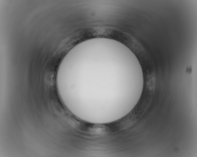 X0000110690514200906261347