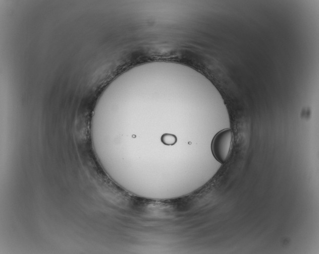 X0000110690515200906261347