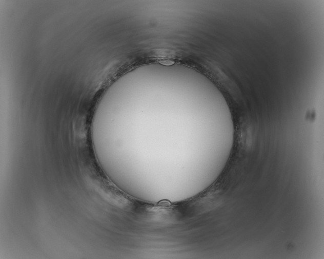 X0000110690516200906261347