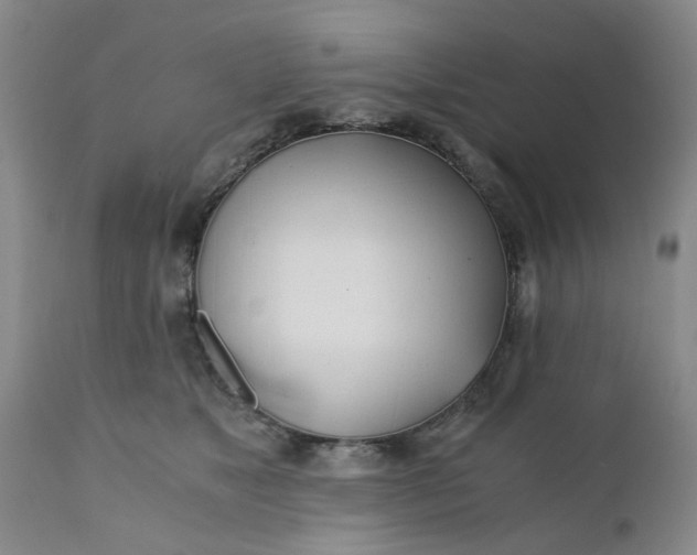 X0000110690517200906261347