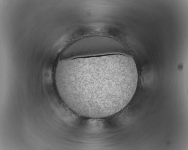 X0000110690520200906261347