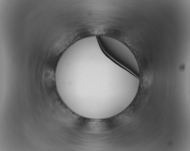 X0000110690521200906261347