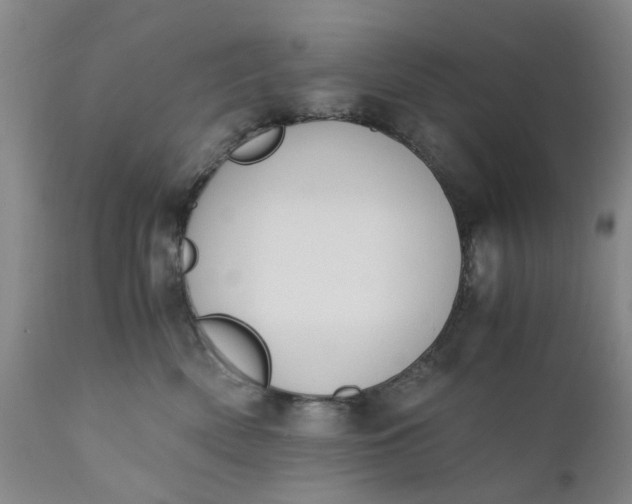 X0000110690522200906261347