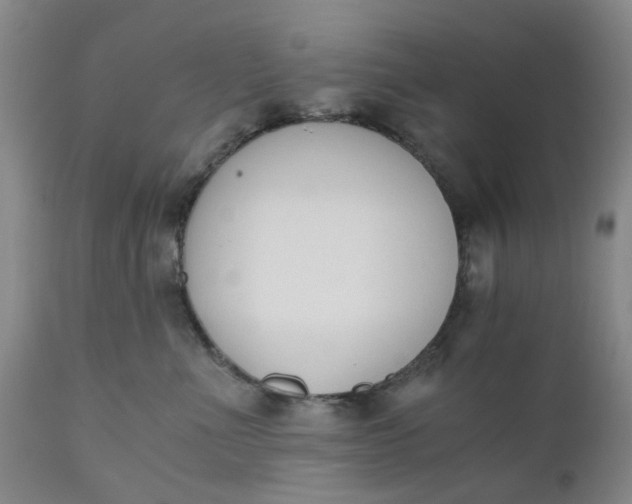 X0000110690523200906261347